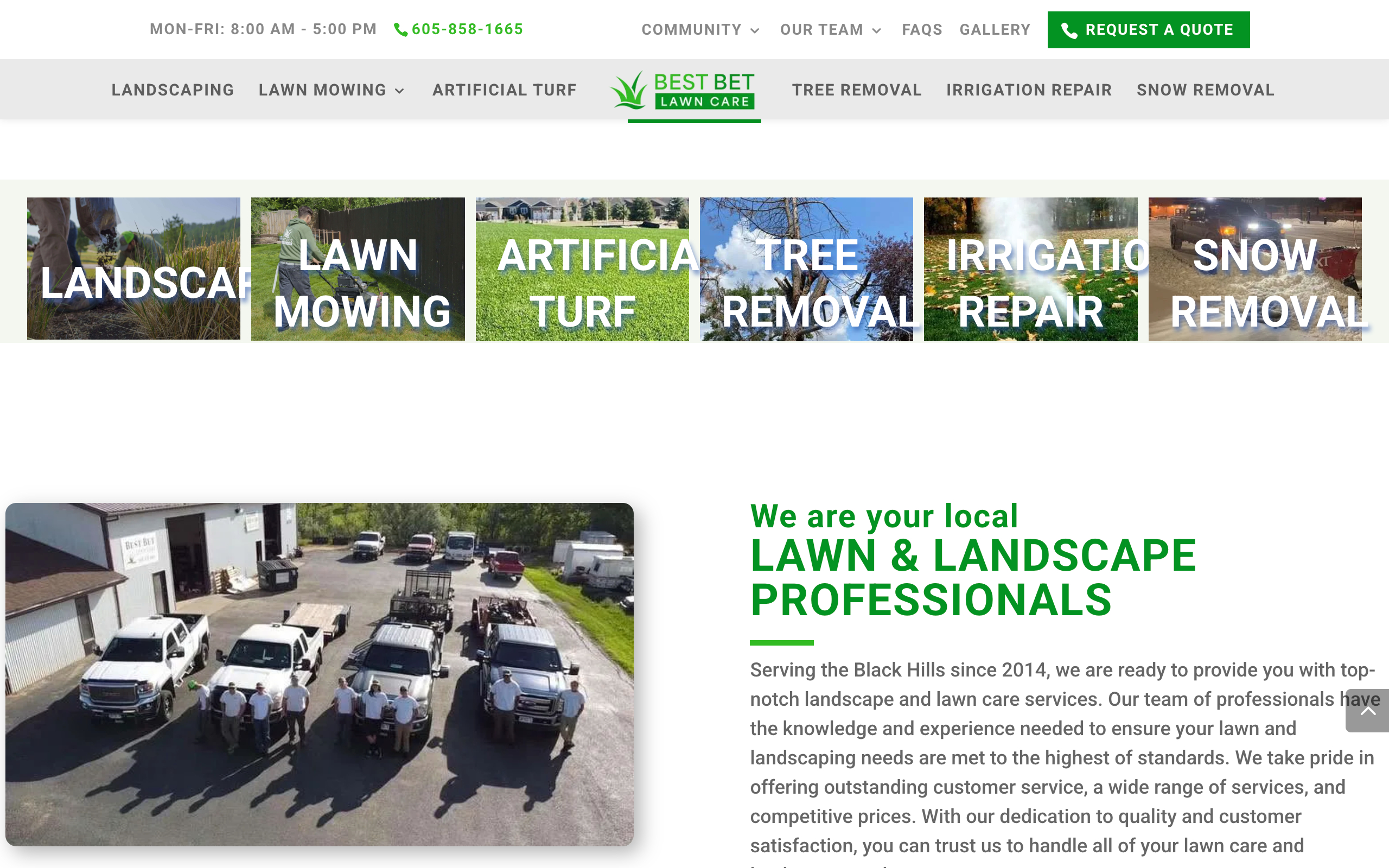 Lawn Care cool web design