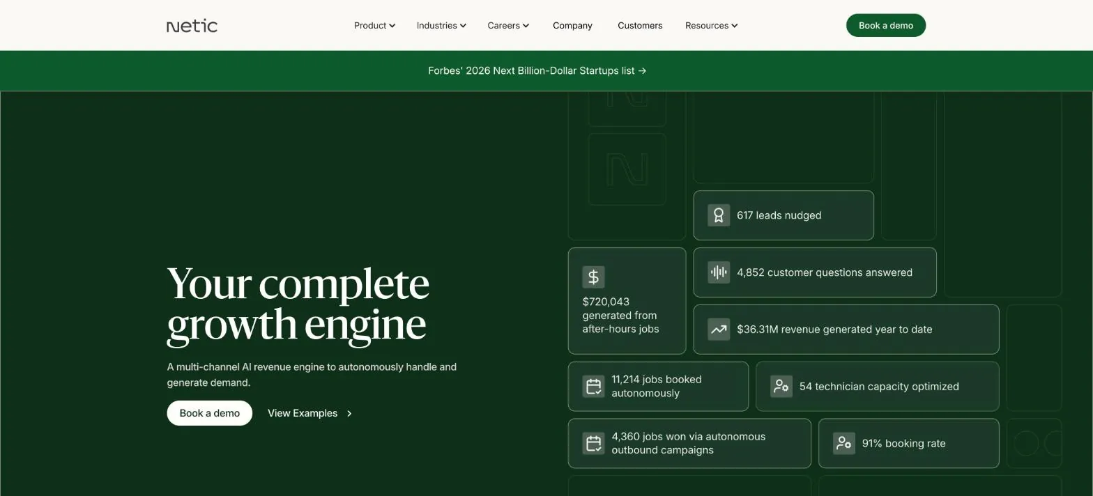 Netic website screenshot
